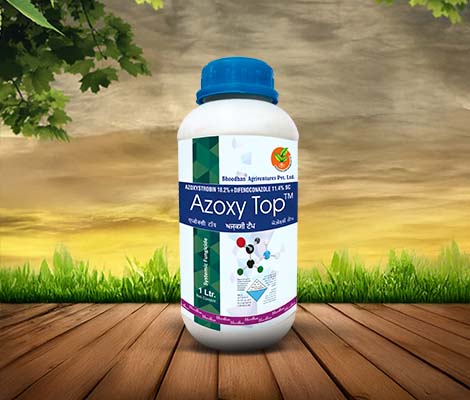 Azoxy Top