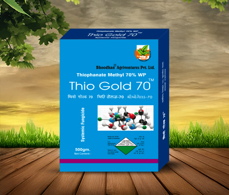 thio gold 70