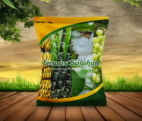 ferrous sulphate