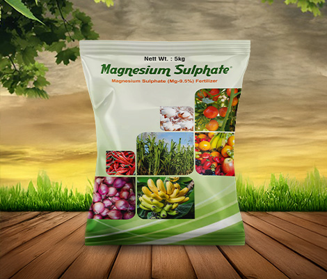 magnesium sulphate