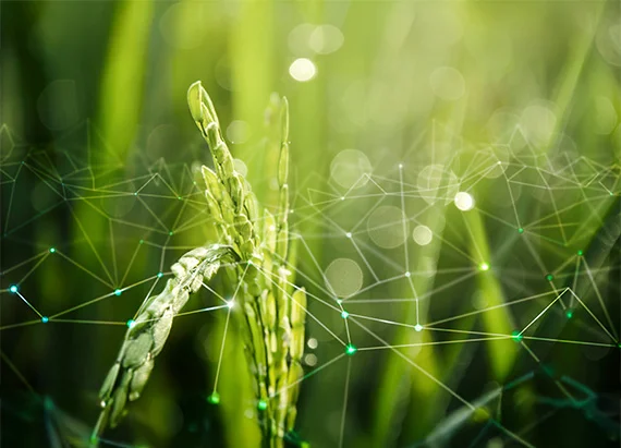 Pioneer in agricultural industry