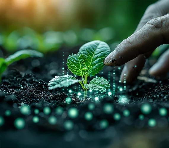 Pioneer in agricultural industry