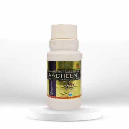 Bhoodhan Agriventures Pvt. Ltd.