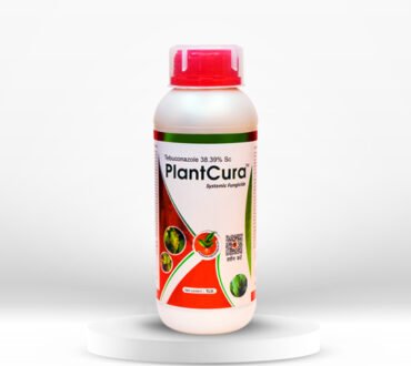 Bhoodhan Agriventures Pvt. Ltd.